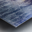 Ethereal Reflections of Winter Trees Metal print