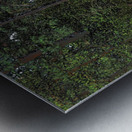  Walking the Forest Trails in the Scottish Highlands                                                                                                                     Metal print