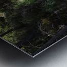 Scottish Highlands Tranquil Forest Stream                                                                                                                      Metal print