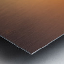 Sunset celebration in Key West Florida Metal print