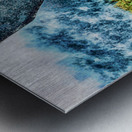 HUMPBACK WHALE Metal print