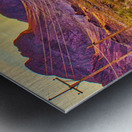 DESERT WIDERNESS Metal print