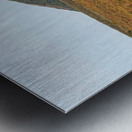 Pingo Canadian Landmark Metal print