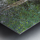 Scottish Hiker in a Birch Forest                                                                                                                      Metal print