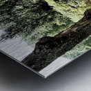  Scottish Highlands Path through the Woodland                                                                                                                     Metal print