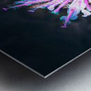 Wild Bergamot Flower Fae   Hush Metal print