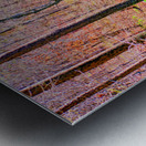 SPLASHING BROOK Metal print