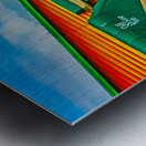 OZARK CLIFF HOUSE  Metal print