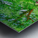 BLOOMING GARDEN  Metal print