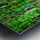 NATIVE FOREST  Metal print