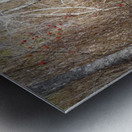 Serene Woodland Marsh Winter Berries Metal print