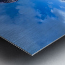 SAILORS KISS  Metal print