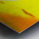 BRILLIANT SUNSET  Metal print