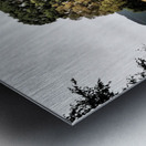 Scottish Highlands Path to Hilltop Trees                                                                                                                       Metal print