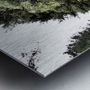  Scottish Highlands Serene Woodland Path                                                                                                                     Metal print