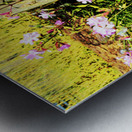 Vibrant  Wildflowers  by a Rustic Fence                                                                                             Metal print