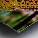 Feeding in the Light Metal print