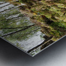  Scottish Highlands Tranquil Woodland Landscape                                                                                  Metal print