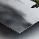 Scottish Highlands Dramatic  Sky Landscape                                                                                                     Metal print