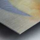 Imminent  White Egret Flight Metal print