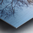 Sun Star By Topaz Mill Metal print