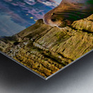 SEAL LIONS  Metal print