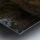  National Forest Tranquil Reflections Metal print