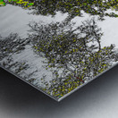 Abstract Vivid Forest Canopy                                                                                                                      Metal print