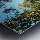  Scottish Highlands Autumnal Sunny Forest Trail                                                                                                                      Metal print