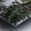  Scottish Highlands Mixed Forest and the Heather                                                                                                                     Metal print