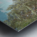 Scottish Highlands Serene Forest Pathway                                                                                                                      Metal print