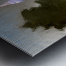 The Washington Monument  Metal print