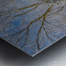 Un hiver glaciale Metal print