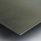 Bobby a laise Metal print