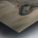 Le Loup Doux Metal print