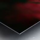 La feuille sombre Metal print