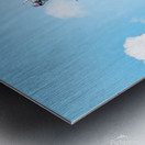 Spectacle aerien Metal print