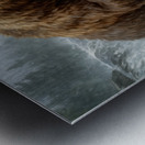 Hunter of the Rapids   GIA2501 06238 OIL Metal print