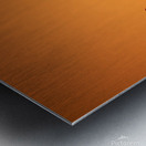 Connection Metal print