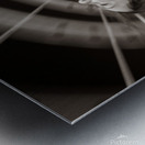 DSC07053 Metal print