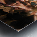 Flaming Flower Metal print