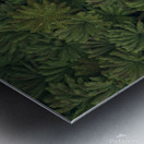 DJI 20230718170237 0042 D Edit Metal print