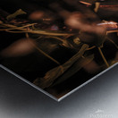 Burned Flower Metal print