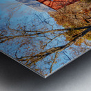 Timeless Mill Ozarks Landmark Metal print