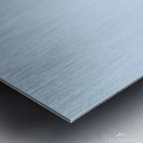 Osprey being strafed by an American Crow Metal print