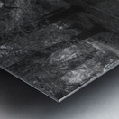 Quiet Forest Reflections Metal print