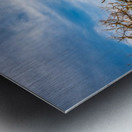 Golden Hour Metal print