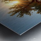 Enchanted Tree at Sunset Metal print