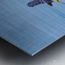 Golden crowned Kinglet Taking Off Metal print