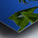 Sunflower against blue cloudless sky Metal print